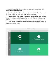 Growth Share Matrix 2 puslapis
