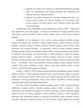 Lyginamoji socialinių paslaugų administravimo analizė: Šiaulių rajono ir Radviliškio rajono savivaldybių atvejis  13 puslapis