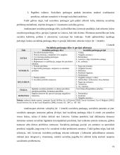 Lyginamoji socialinių paslaugų administravimo analizė: Šiaulių rajono ir Radviliškio rajono savivaldybių atvejis  19 puslapis