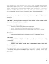 Socialinių paslaugų administravimo tobulinimas Vilniaus rajono savivaldybėje  4 puslapis