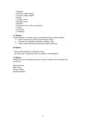 Žmogaus jutimo organai 5 puslapis