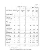 UAB “Restor” verslo planas 11 puslapis