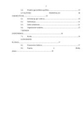 UAB “Restor” verslo planas 3 puslapis