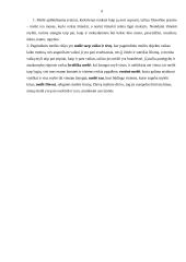 Meilės suvokimas 6 puslapis