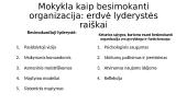 Lyderystės projekcijos švietime  5 puslapis