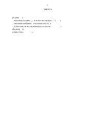 Nedarbo mažinimas Lietuvoje 2 puslapis