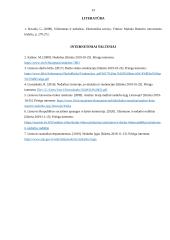 Nedarbo mažinimas Lietuvoje 13 puslapis