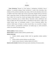 Nedarbo mažinimas Lietuvoje 3 puslapis