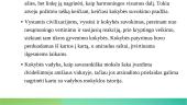 Kokybės vadybos samprata ir raida 12 puslapis