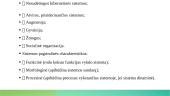 Kokybės vadybos samprata ir raida 18 puslapis