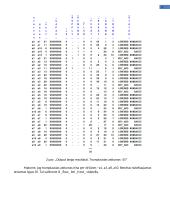 Tinklinės formos transporto uždavinys 3 puslapis