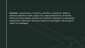 Žemėlapių klasifikacija 15 puslapis