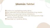 Nykštukinės planetos 11 puslapis