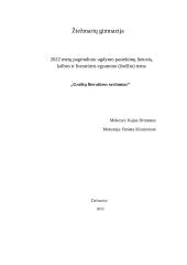 Graikų literatūros savitumas