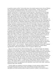 Indėlis į vadybos mokslą: Frederick Winslow Taylor 2 puslapis