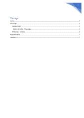 Išsamiai apie Merkurijaus planetą 2 puslapis