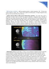Išsamiai apie Merkurijaus planetą 6 puslapis