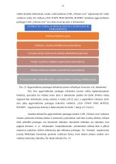 Poilsio veiklų organizavimo individualių atvejų analizė 12 puslapis