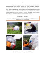 Poilsio veiklų organizavimo individualių atvejų analizė 15 puslapis