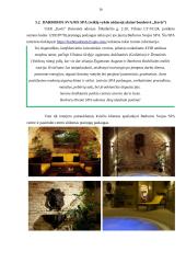 Poilsio veiklų organizavimo individualių atvejų analizė 16 puslapis