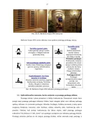 Poilsio veiklų organizavimo individualių atvejų analizė 17 puslapis