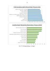 Poilsio veiklų organizavimo individualių atvejų analizė 19 puslapis
