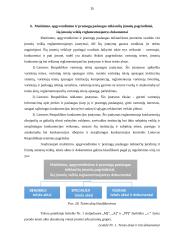 Poilsio veiklų organizavimo individualių atvejų analizė 20 puslapis