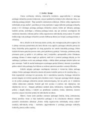 Poilsio veiklų organizavimo individualių atvejų analizė 4 puslapis