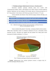 Poilsio veiklų organizavimo individualių atvejų analizė 5 puslapis