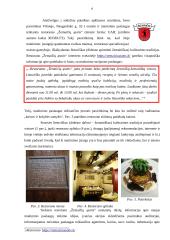 Poilsio veiklų organizavimo individualių atvejų analizė 6 puslapis