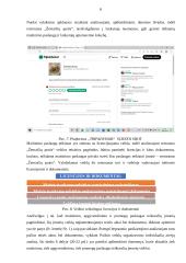 Poilsio veiklų organizavimo individualių atvejų analizė 8 puslapis