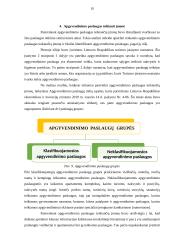 Poilsio veiklų organizavimo individualių atvejų analizė 10 puslapis