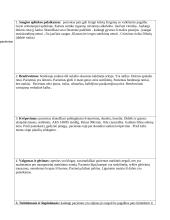 Slaugos planas. Savarankiškas darbas 3 puslapis