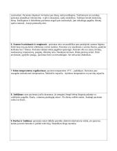 Slaugos planas. Savarankiškas darbas 4 puslapis