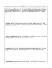 Slaugos planas. Savarankiškas darbas 8 puslapis