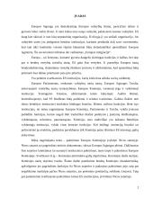 Europos Komisija po Nicos sutarties (ES plėtros strategija) 2 puslapis