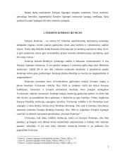 Europos Komisija po Nicos sutarties (ES plėtros strategija) 3 puslapis