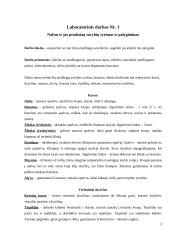 Transporto konstrukcinės ir eksploatacinės medžiagos 2 puslapis