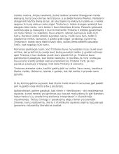 Riteris ir riteriškumas: kova už gėrį 2 puslapis