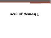 Gotikos bažnyčios Viduramžiais 6 puslapis