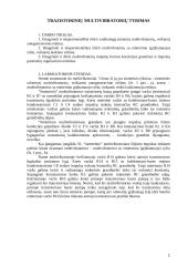 Trazistorinių multivibratorių tyrimas