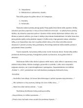 Dalykiniai laiškai ir jų reikalavimai 5 puslapis