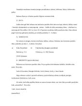 Dalykiniai laiškai ir jų reikalavimai 7 puslapis