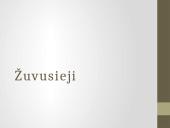 Sausio 13-osios laisvės gynėjų diena 6 puslapis