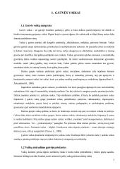 Gatvės vaikai ir pagalba jiems 3 puslapis