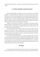 Gatvės vaikai ir pagalba jiems 6 puslapis