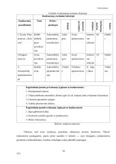 UAB  „Elecar“ verslo planas 10 puslapis