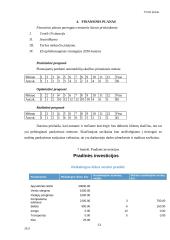 UAB  „Elecar“ verslo planas 13 puslapis