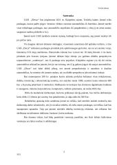 UAB  „Elecar“ verslo planas 2 puslapis
