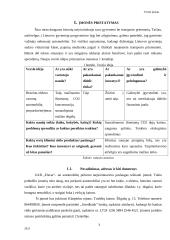 UAB  „Elecar“ verslo planas 3 puslapis